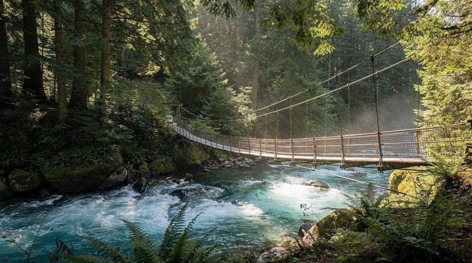 Lynn Canyon