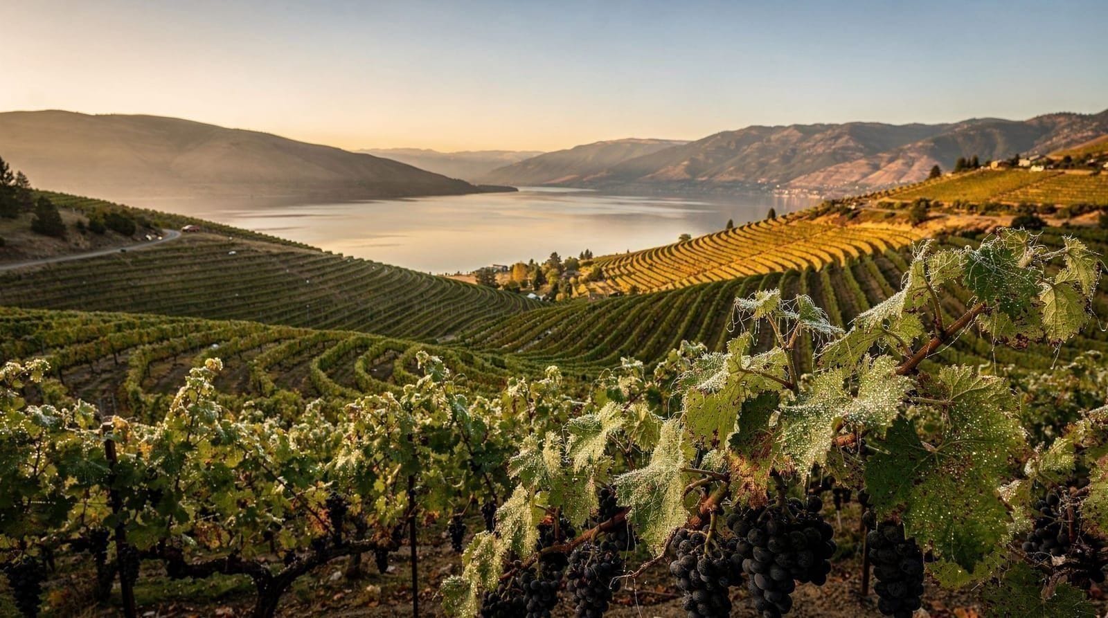 Okanagan wine country