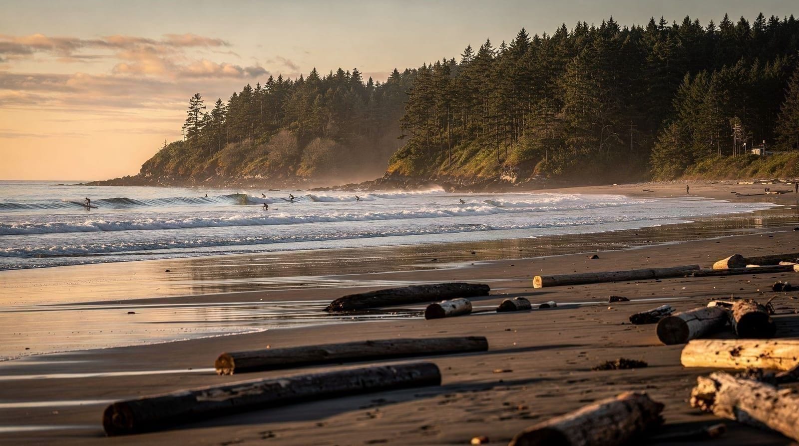 Tofino