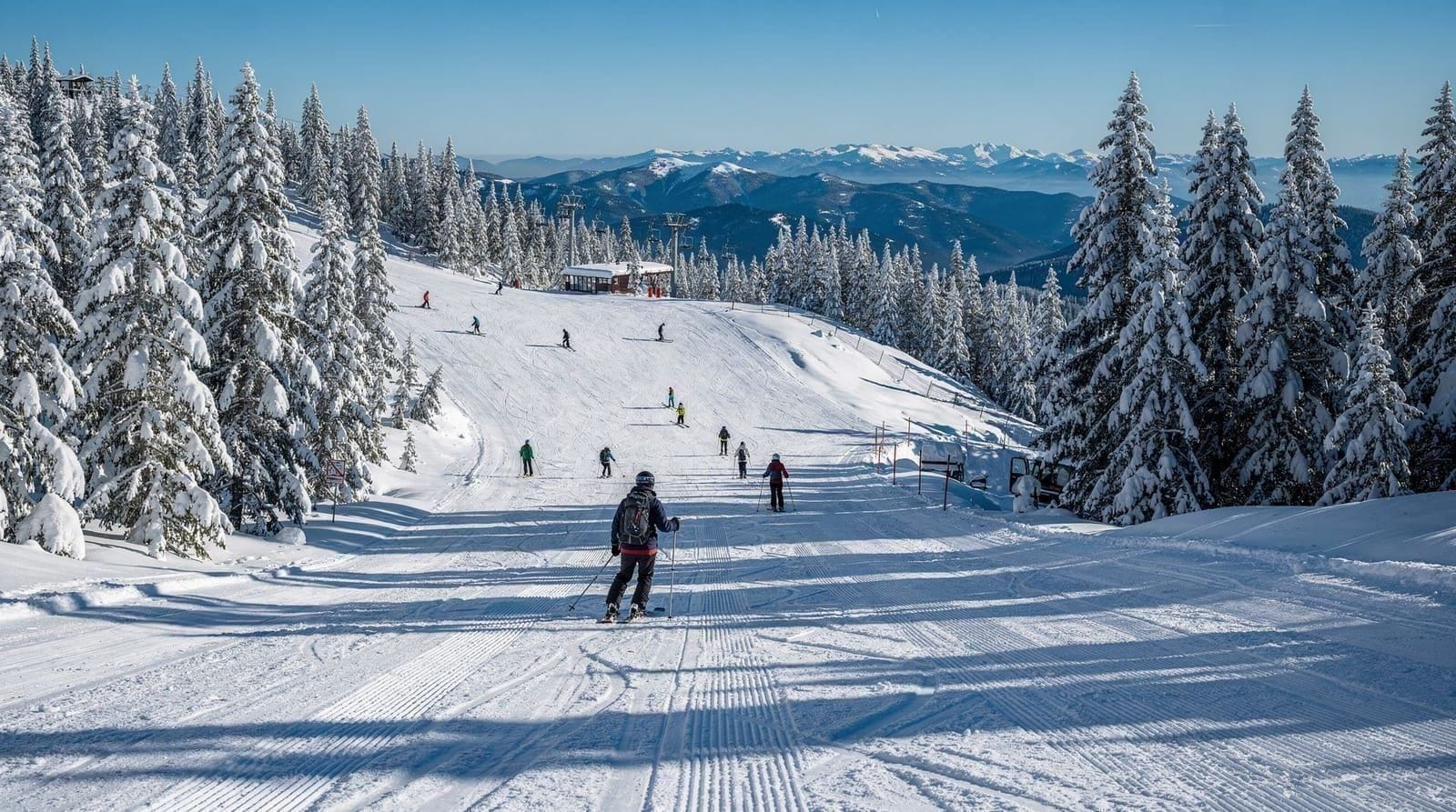 Cypress Mountain guide — A guide to Cypress Mountain, West Vancouver's Olympic ski venue — terrain, snows