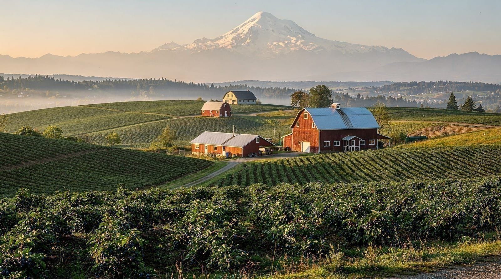 Fraser Valley day trip from Vancouver — Fort Langley, farms, and back roads — A slower-paced Vancouver day trip through the Fraser Valley — Fort Langley's his