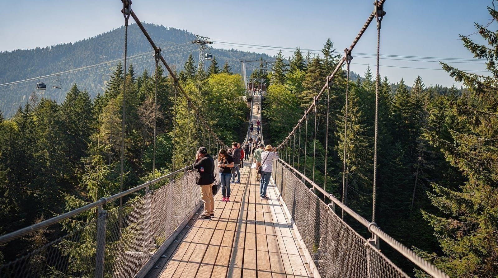 Vancouver: Entry Ticket for the Vancouver Lookout