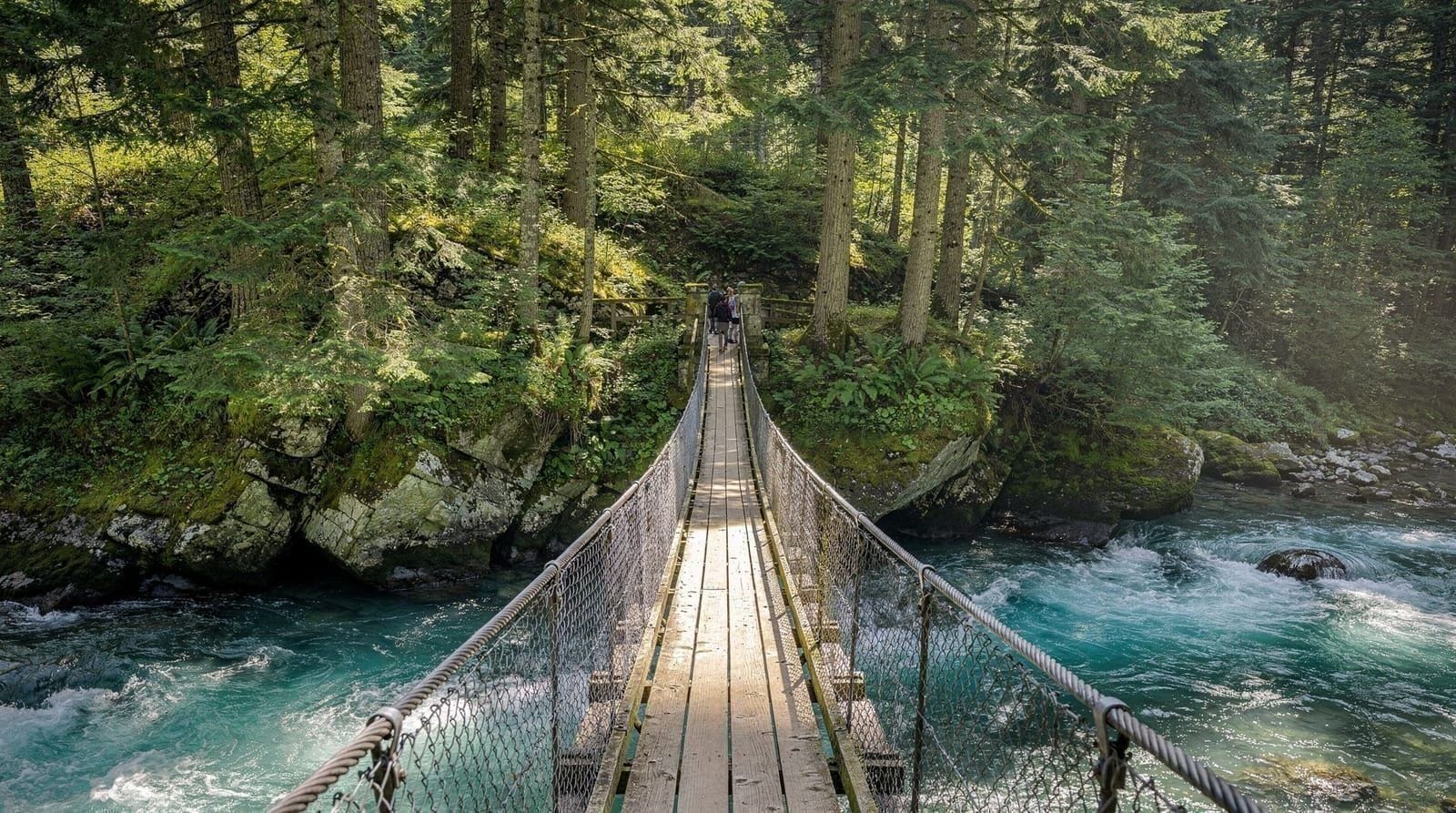 Lynn Canyon guide