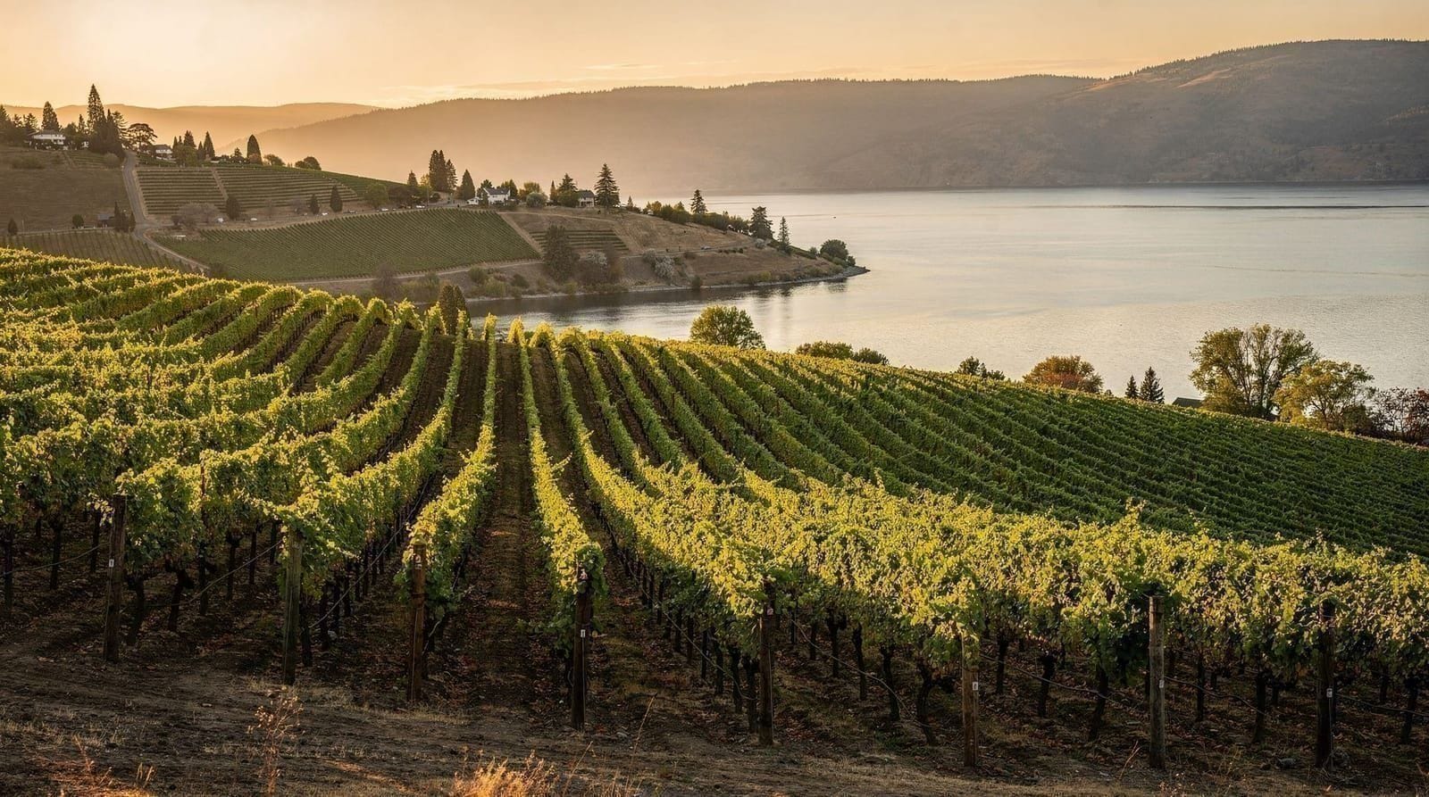 Okanagan from Vancouver — why it's not a day trip and how to plan the visit — Getting from Vancouver to the Okanagan — driving and flight times, why it needs 