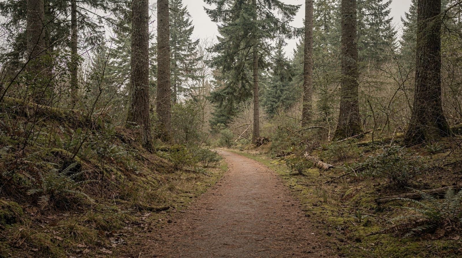 Pacific Spirit Regional Park guide