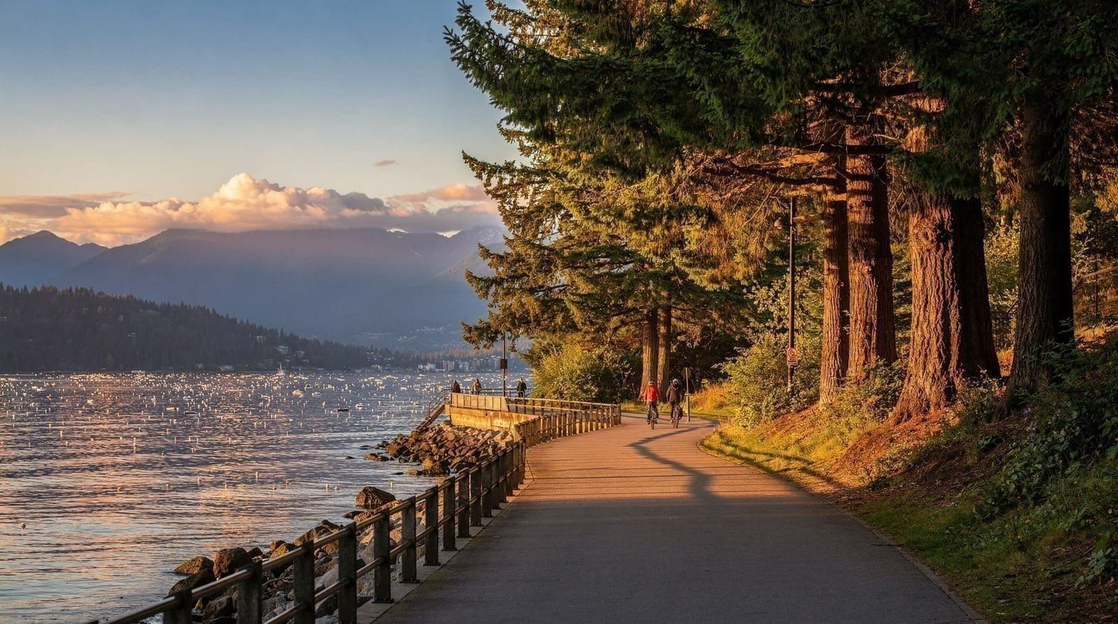 Stanley Park — A practical guide to Stanley Park — the seawall loop, biking versus walking, bea
