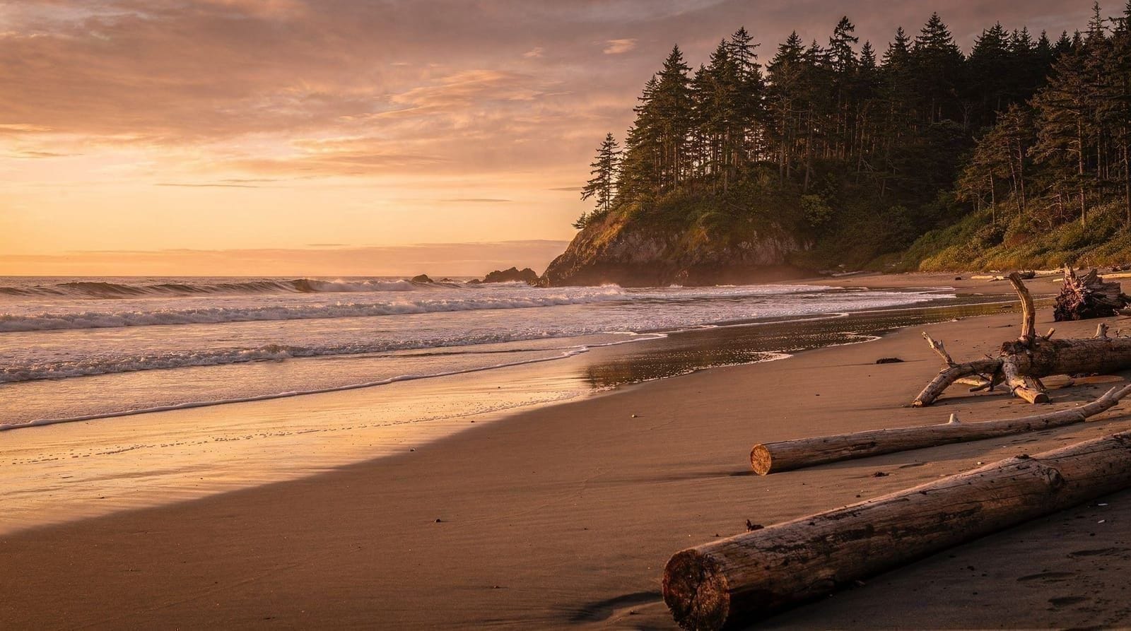 Tofino trip from Vancouver — why it's not a day trip and how to plan it — Getting from Vancouver to Tofino, real travel times by ferry, road, and air, and
