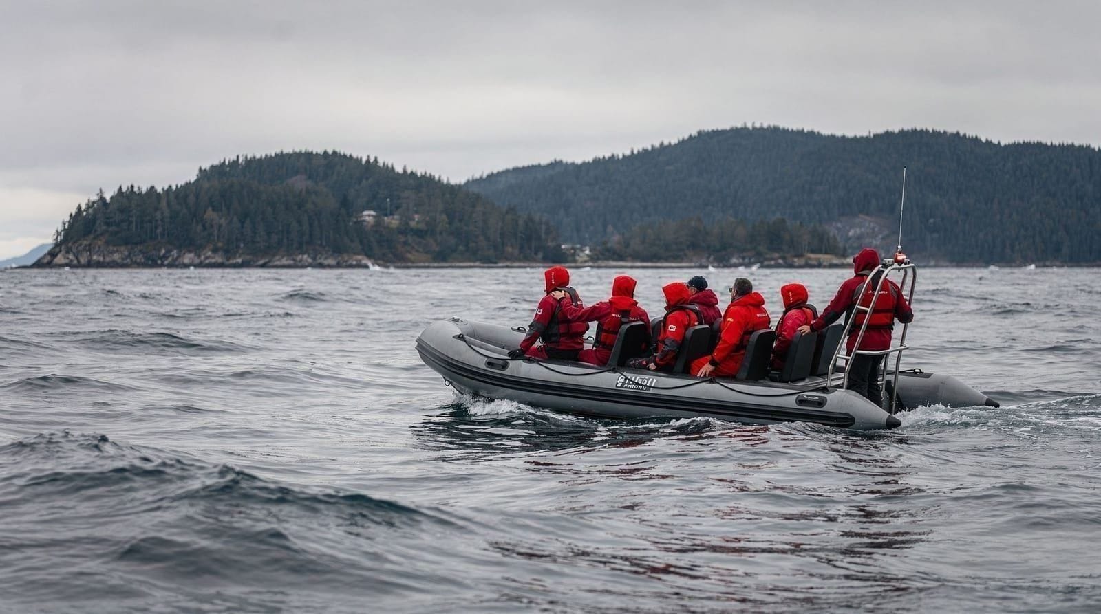 Wildlife — Orca and humpback whale watching, grizzly bears and eagles