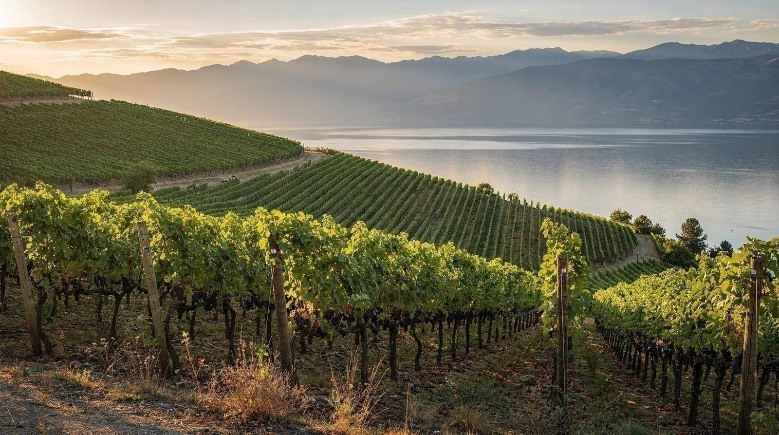 Vancouver to Okanagan wine country in 6 days — 6 days — easy — luxury