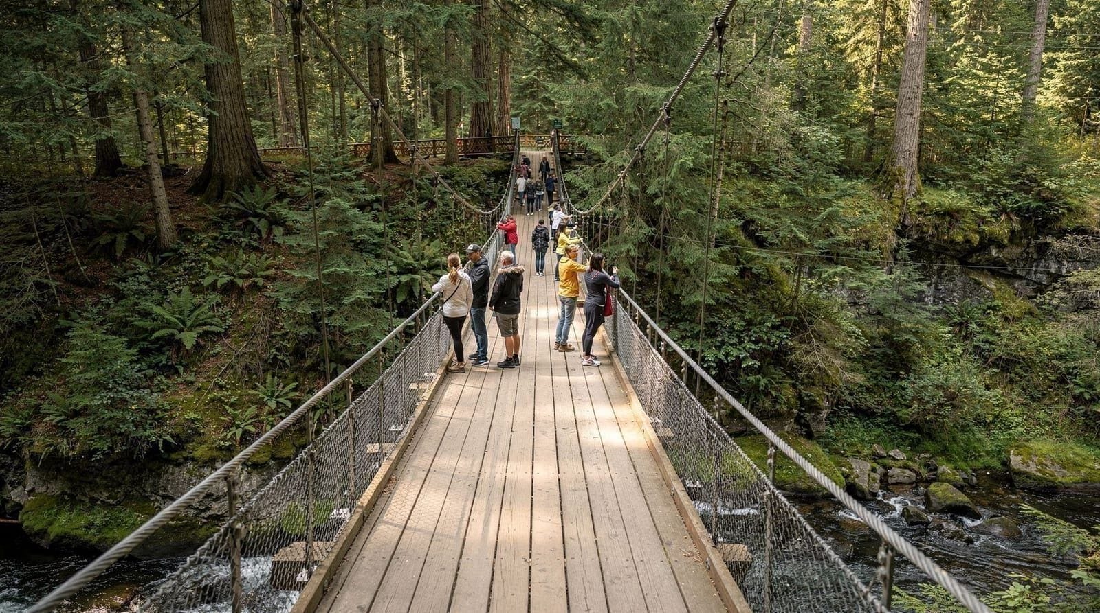 Capilano Suspension Bridge review: is it worth the price?